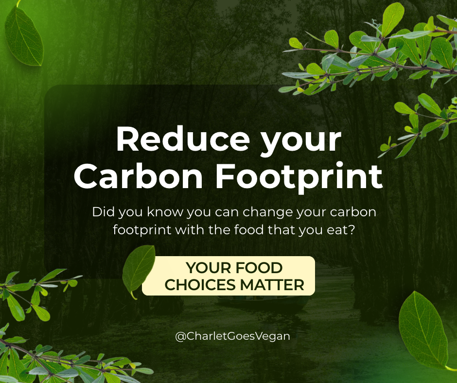 How Going Vegan Reduces Your Carbon Footprint: Real Numbers, Real Impact