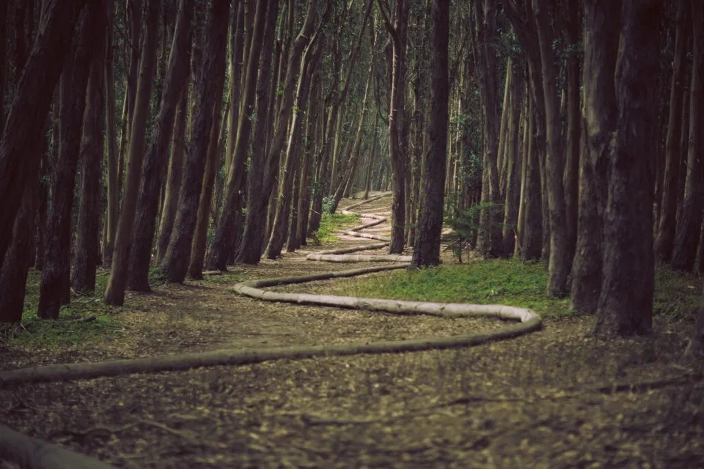 Regenerating the Spirit: Stewardship , Do No Harm in All Areas